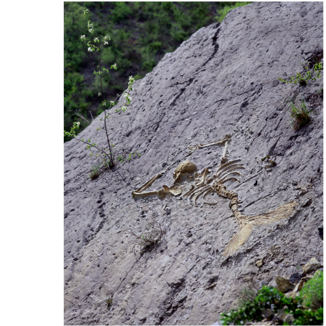 Image 10000201000001DA000001DA002B0D6EB506DE20.png